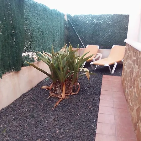 Ventura Caprice Corralejo